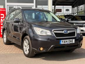 SUBARU FORESTER at Tees Valley Darlington